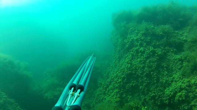 Подводная охота Черное Море 28.04.2014 смотреть онлайн