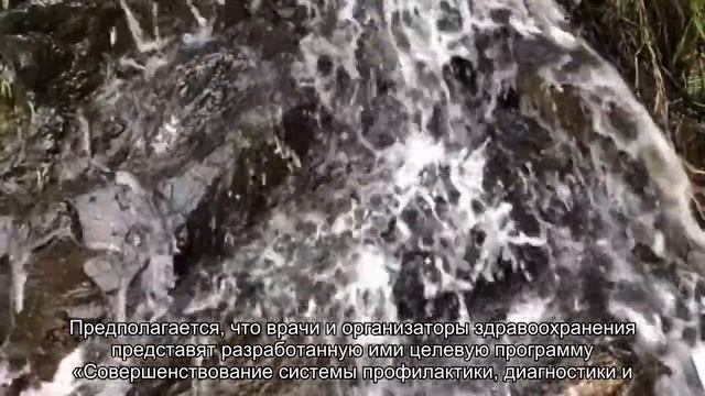 В Петербурге появится один из трех федеральных центров по изучению болезней почек смотреть онлайн