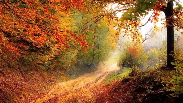 Как отличить желания эго от желания Души? смотреть онлайн