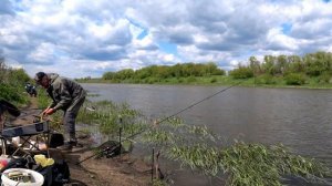 РЫБАЛКА хороший КЛЕВ КРУПНОГО КАРАСЯ на реке Дон в Липецкой области