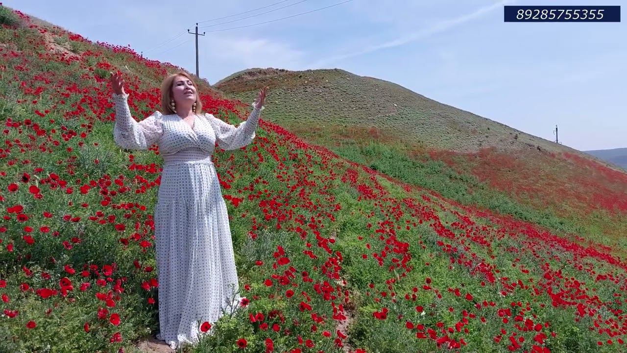 гр.Берекат - Беневша цуьк 2022 смотреть онлайн