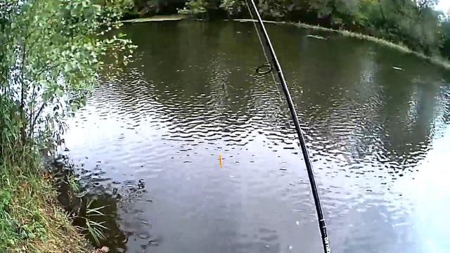 Crack Jack 98SP SR.Твичинг на реке. смотреть онлайн