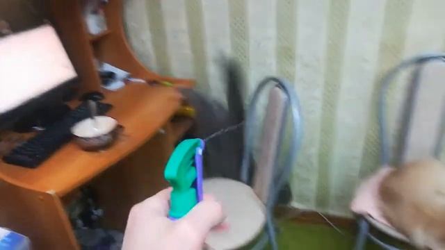 Серый кушает смотреть онлайн