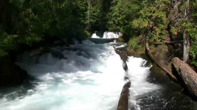 музыка реки и фортепьяно смотреть онлайн