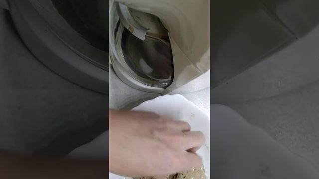 VID 20190929 183124 смотреть онлайн