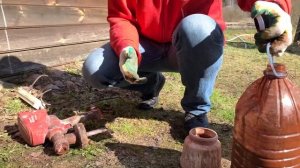 Как сделать ЭКОЛОГИЧЕСКУЮ пропитку для дерева своими руками | Бюджетно и Работает! Результат ПОРАЗИ