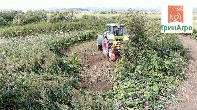 Расчистка полей с\х от кустарников, деревьев. ГринАгро Сахалин. Мульчер Сеппи. смотреть онлайн