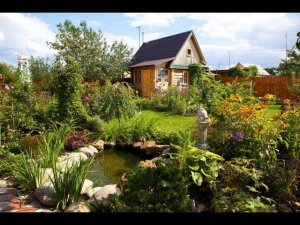 Удивительные Дачные домики