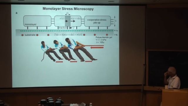 Cell Mechanics смотреть онлайн