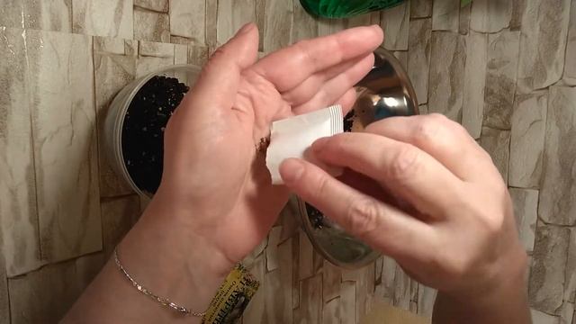 Как посадить седум-очиток смотреть онлайн