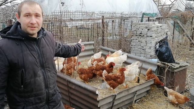 Полезный совет!