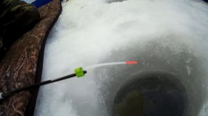 РЫБАЛКА НА ОБИ В БАРНАУЛЕ. ПРО ИВАНЫЧА, ЖОР ПОДЛЕЩИКОВ И ЗИМУ НА АЛТАЕ.