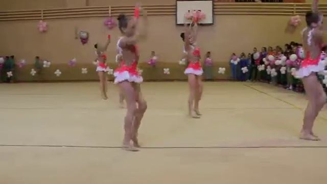 Видео с соревнований по эстетической и художественной гимнастике Ковров, ноябрь 2015 смотреть онлайн