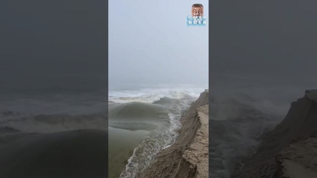 Новые смешные видео и приколы от чудиков Тик Ток №100 смотреть онлайн