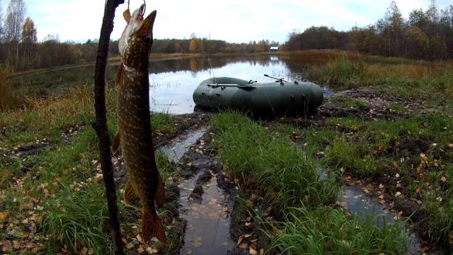Рыбалка в Карелии -Часть- 2- Осенья щука на реке......... смотреть онлайн