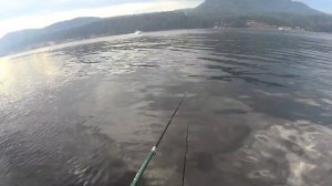 Рыбалка на Телецком озере с инструктором