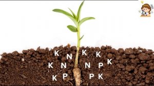 Среда обитания  Экологические факторы