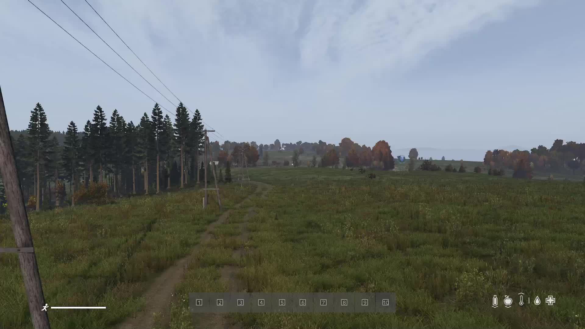Dayz