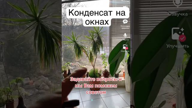 Если плачут Окна и течёт по стеклу конденсат , прораб знает что делать чтоб решить проблему смотреть онлайн