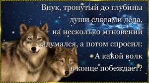 Мудрая Притча о ДОБРЕ и ЗЛЕ – «два волка внутри каждого» - Добро и Зло.