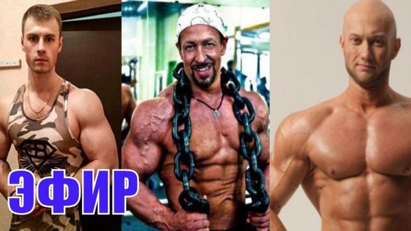 Дневник Врача Егорова. Базилио FreshLife28 Вечерний Юргант