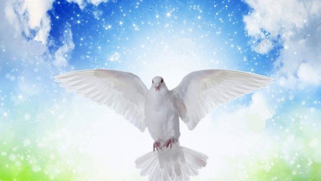 Oracion al Espiritu Santo cada dia Hoy Viernes 17 de Marzo 2023 en Cenaculo #orarenelcenaculo смотреть онлайн