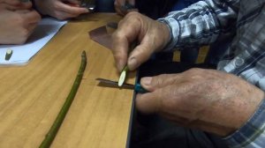 Заточка прививочного ножа (семинар Агеева Б.Н.)