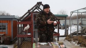 Офлоксацин лекарство для лечения кур несушек.