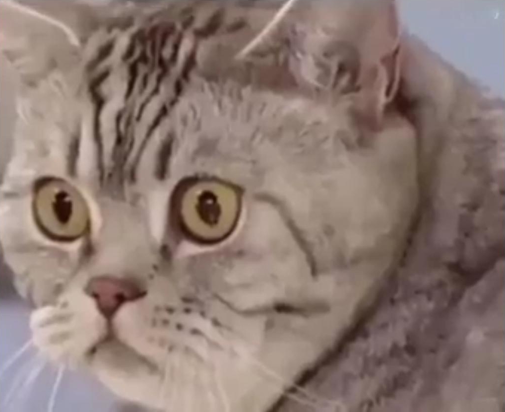 Век рыбов не видать. Как бы яйки не про@@@ть. 
Подборка смешного видео №6