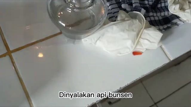 LAPORAN PRAKTIKUM KIMIA ORGANIK Identifikasi Asam Karboksilat dan Ester смотреть онлайн