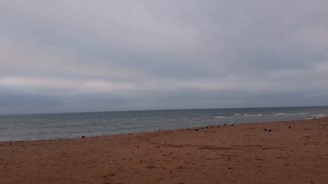 О конфликтах на работе смотреть онлайн