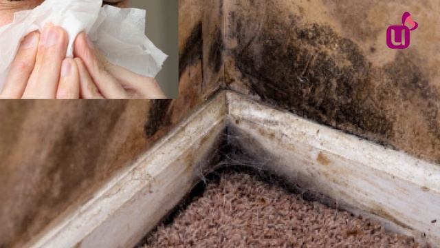 Боролись с бомжами, задохнулись сами смотреть онлайн