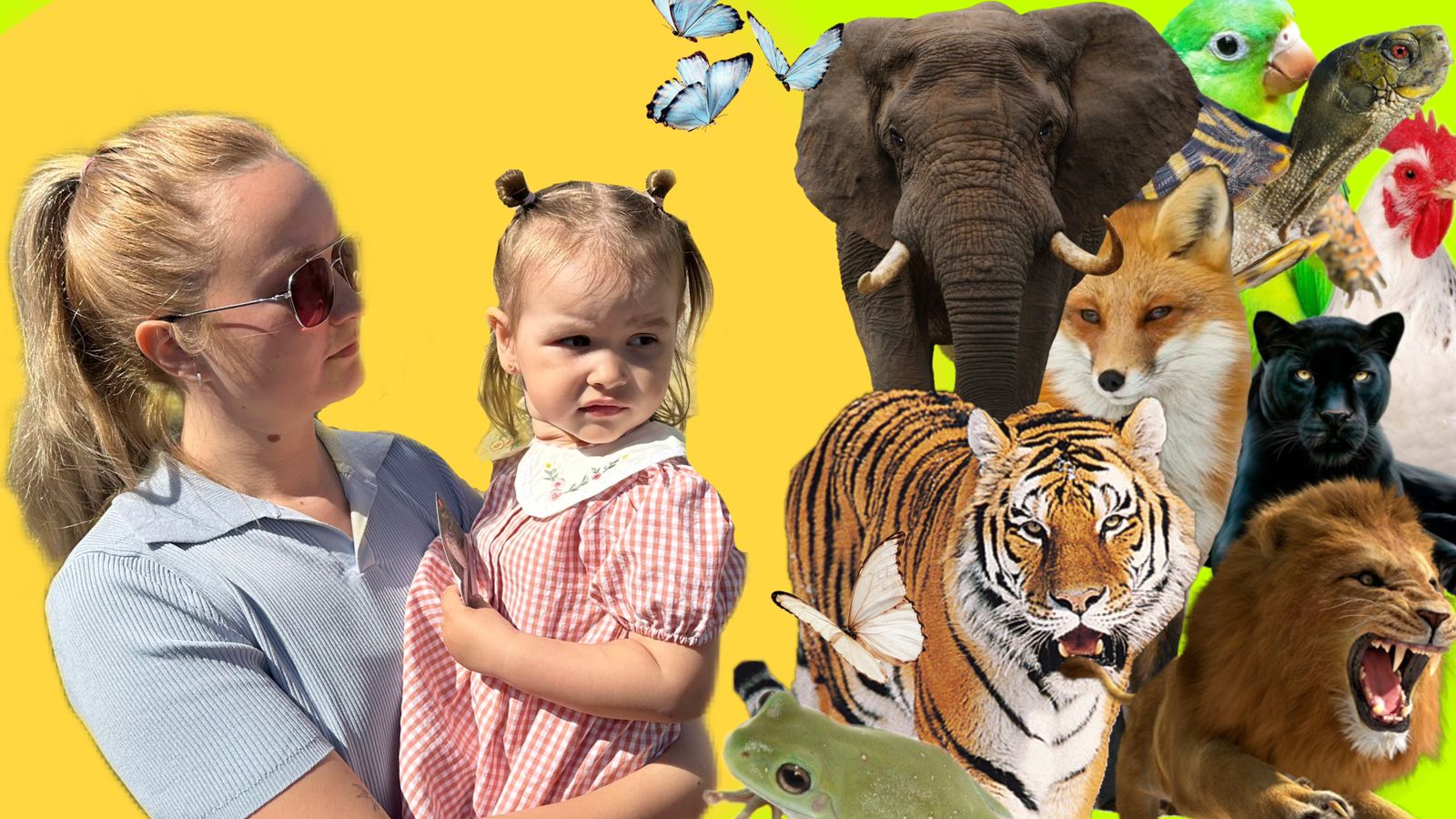 Сеня идет в зоопарк. Познавай мир. Изучай животных смотреть онлайн