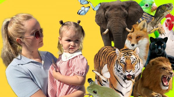 Сеня идет в зоопарк. Познавай мир. Изучай животных