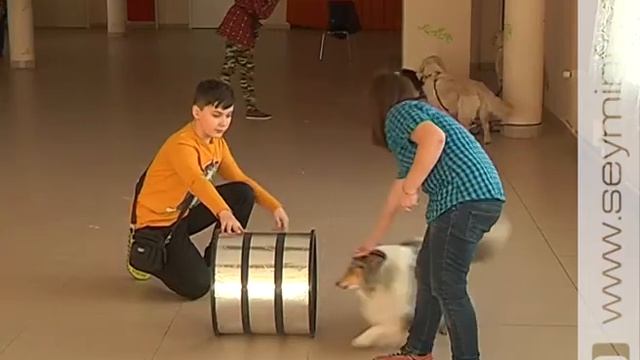«Миллион друзей» 24.05.2018 смотреть онлайн