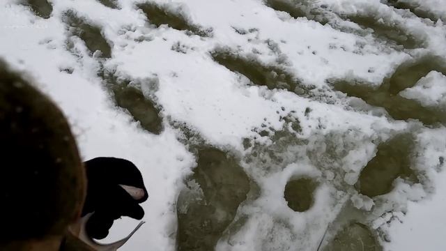 НАШЛИ ИЗБУ СПУСТЯ 10 ЛЕТ! ЧТО В НЕЙ? ЖИВЕМ В ТАЕЖНОМ БАЛАГАНЕ. ХАРИУС НА УЖИН. смотреть онлайн