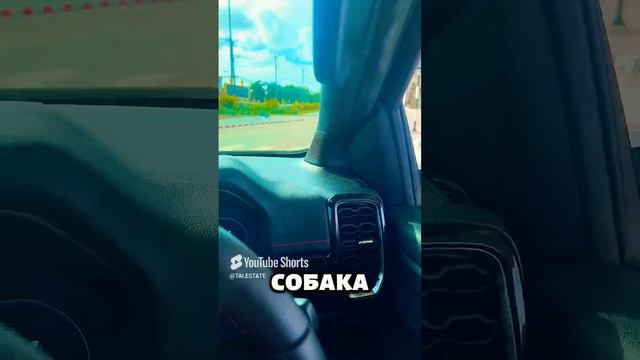 😱Что с ней сделали люди_ #таиланд #taiestate #валераинадя смотреть онлайн