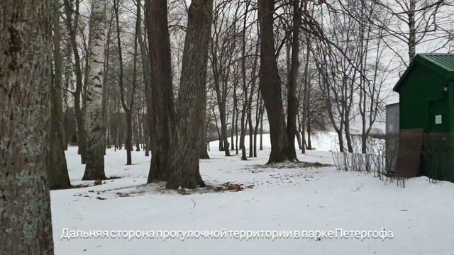 Простая прогулка по парку в Петергофе, 2024 Зима смотреть онлайн