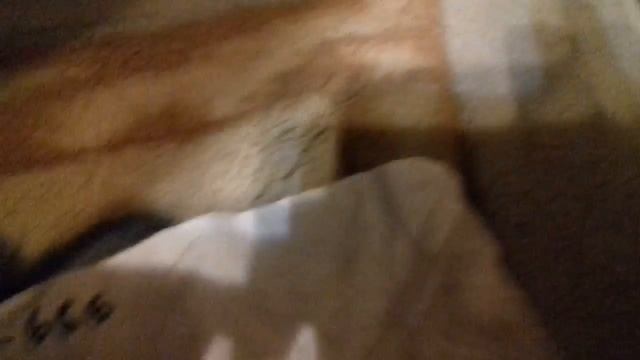 Мифические номера часть 1 смотреть онлайн