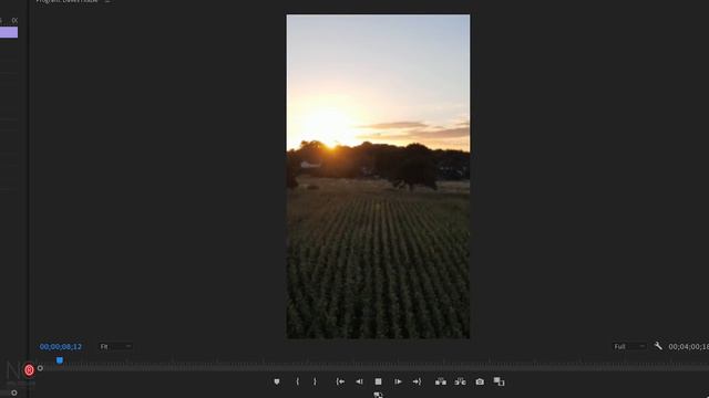 VERTICAL VIDEO for Instagram REELS & STORIES - Best edit and export settings! смотреть онлайн
