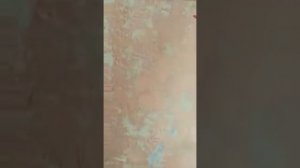 как снять декоративную штукатурку
