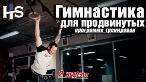 Учимся выходам на кольцах Программа тренировок по кроссфиту /  работа с гимнастическими кольцами