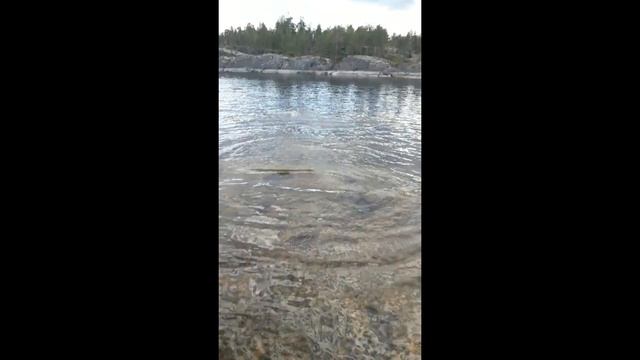 Поход на каяках по маршруту "Терву-Сорола - Терву" смотреть онлайн