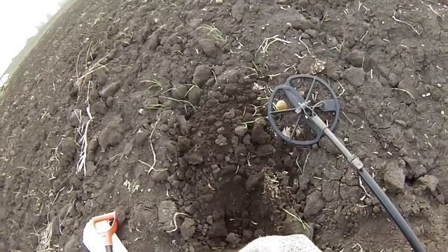 Встреча с камрадом. Копаем на месте старой деревни смотреть онлайн