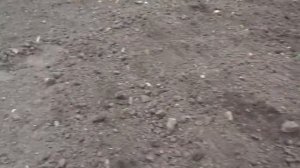 Повышаем урожайность или зачем боронить?