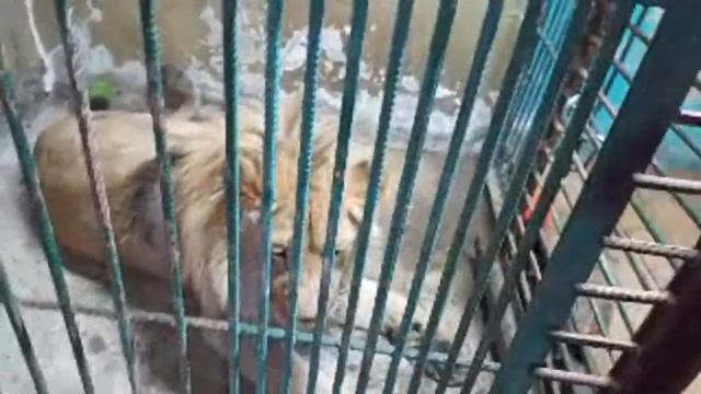 Приют "Спаси Меня" 2 смотреть онлайн