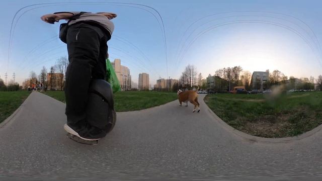Видео 360! Моноколесо и собаки. Обожаю собак и не люблю хозяев, которые не умеют их контролировать! смотреть онлайн
