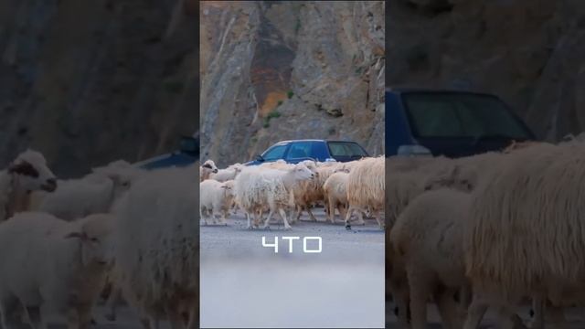 Если потерял ВЕРУ В СЕБЯ! смотреть онлайн