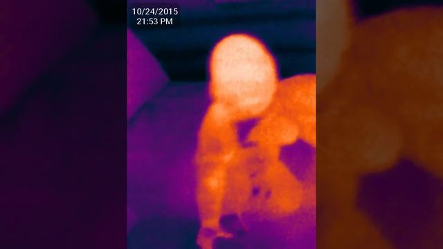 seek thermal baby смотреть онлайн