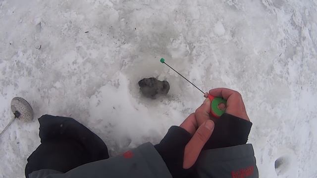 ЗИМНЯЯ РЫБАЛКА.ЛОВЛЯ ГУСТЕРЫ НА БЕЗМОТЫЛКУ смотреть онлайн